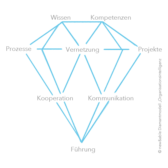 Diamantmodell der Organisationsintelligenz. Bild: copy new&able